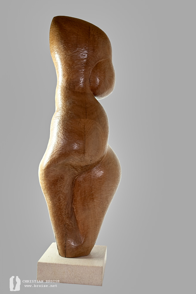 Figure debout 4 (Bois de poirier) de Christian Broise