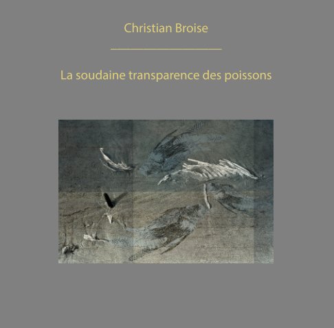 Livre en cours d'édition. Christian Broise.. La soudaine transparence des poissons